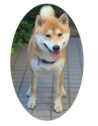 Photo of Leader