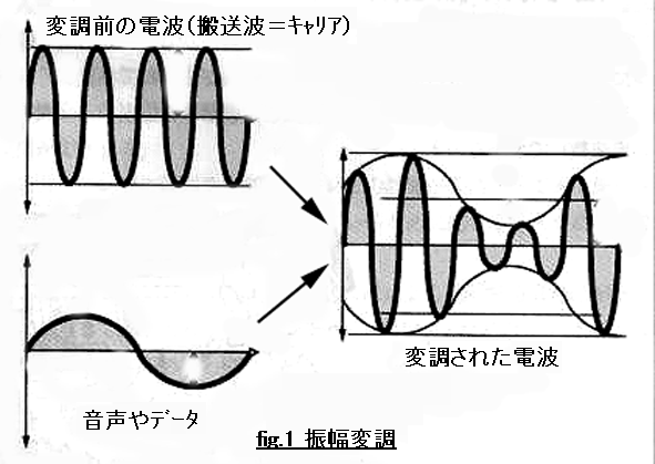 FIG_AMJ0101